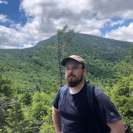 @protolith/morphic CDN by jsDelivr - A CDN for npm and GitHub