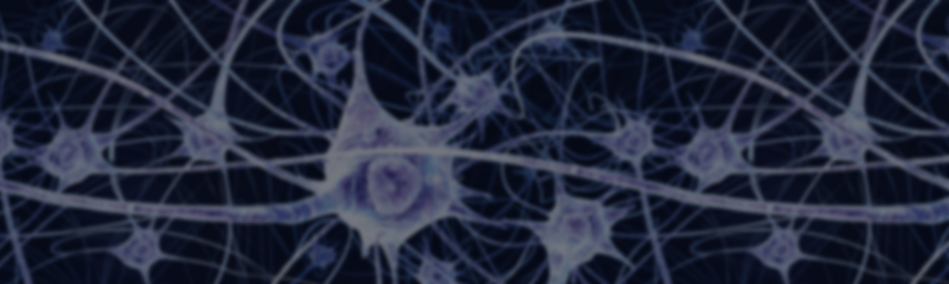 neuron