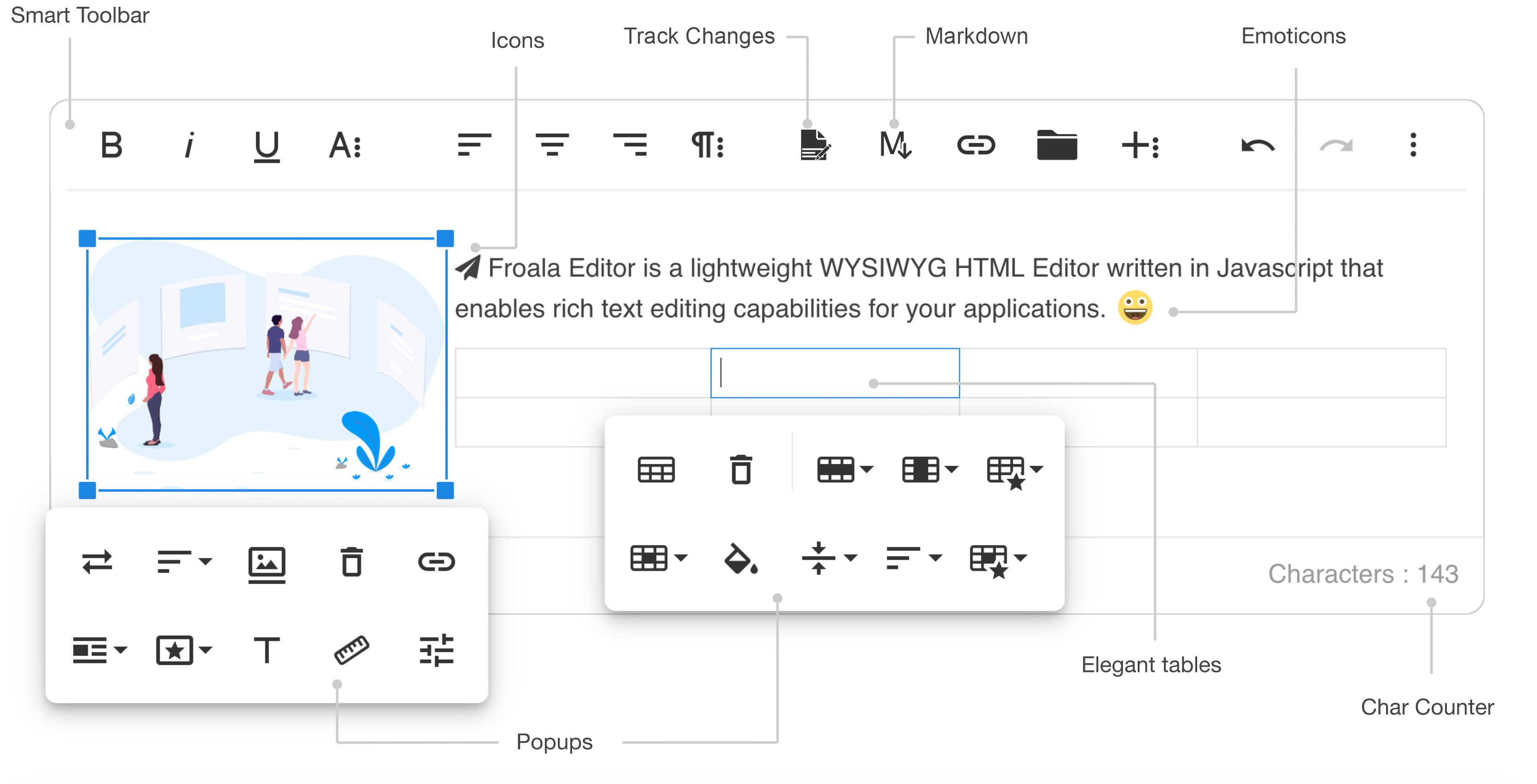 Rich Text Editor (RTE) Field